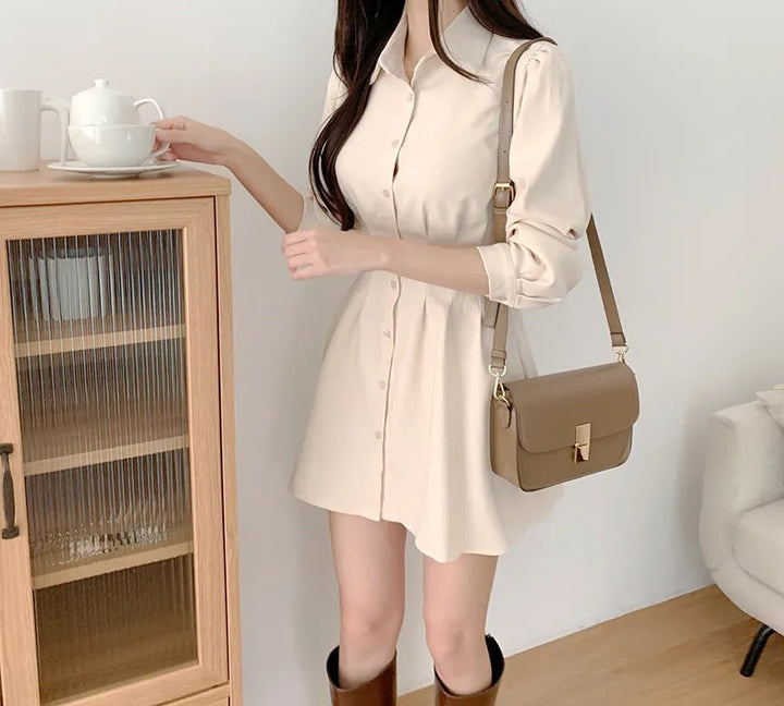 A - Line Shirt Dress with Polo Collar – High Waist Korean Style for Women (18–24) - VeauBeauty