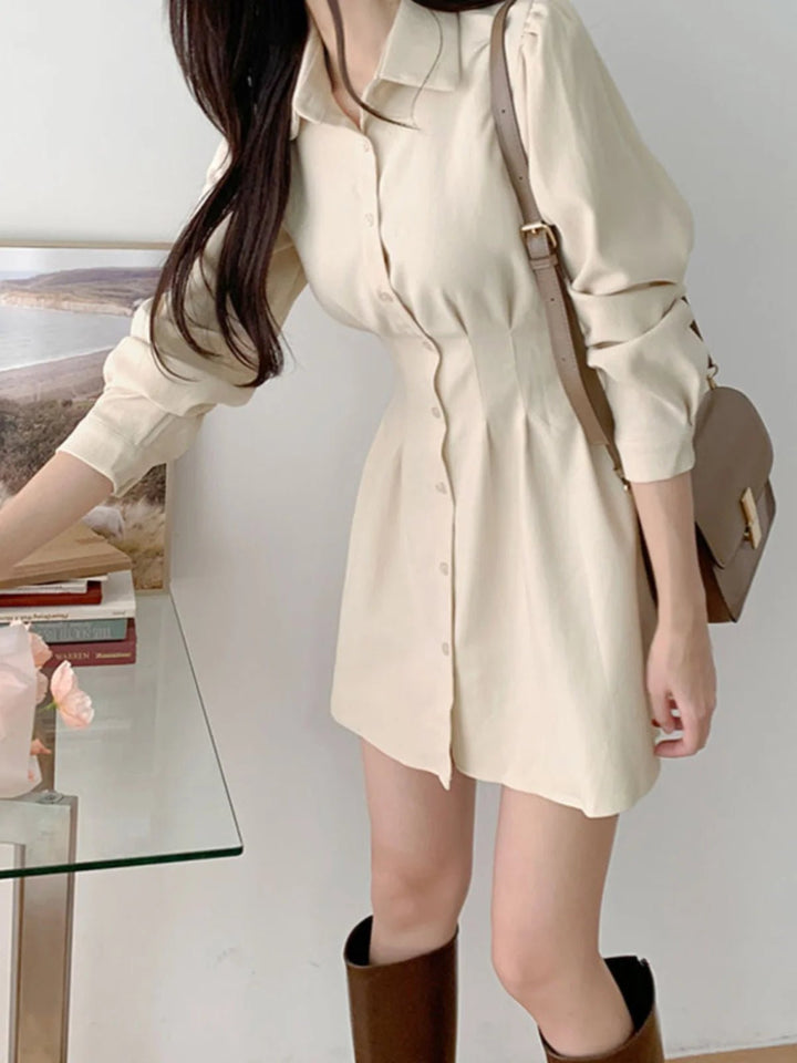 A - Line Shirt Dress with Polo Collar – High Waist Korean Style for Women (18–24) - VeauBeauty